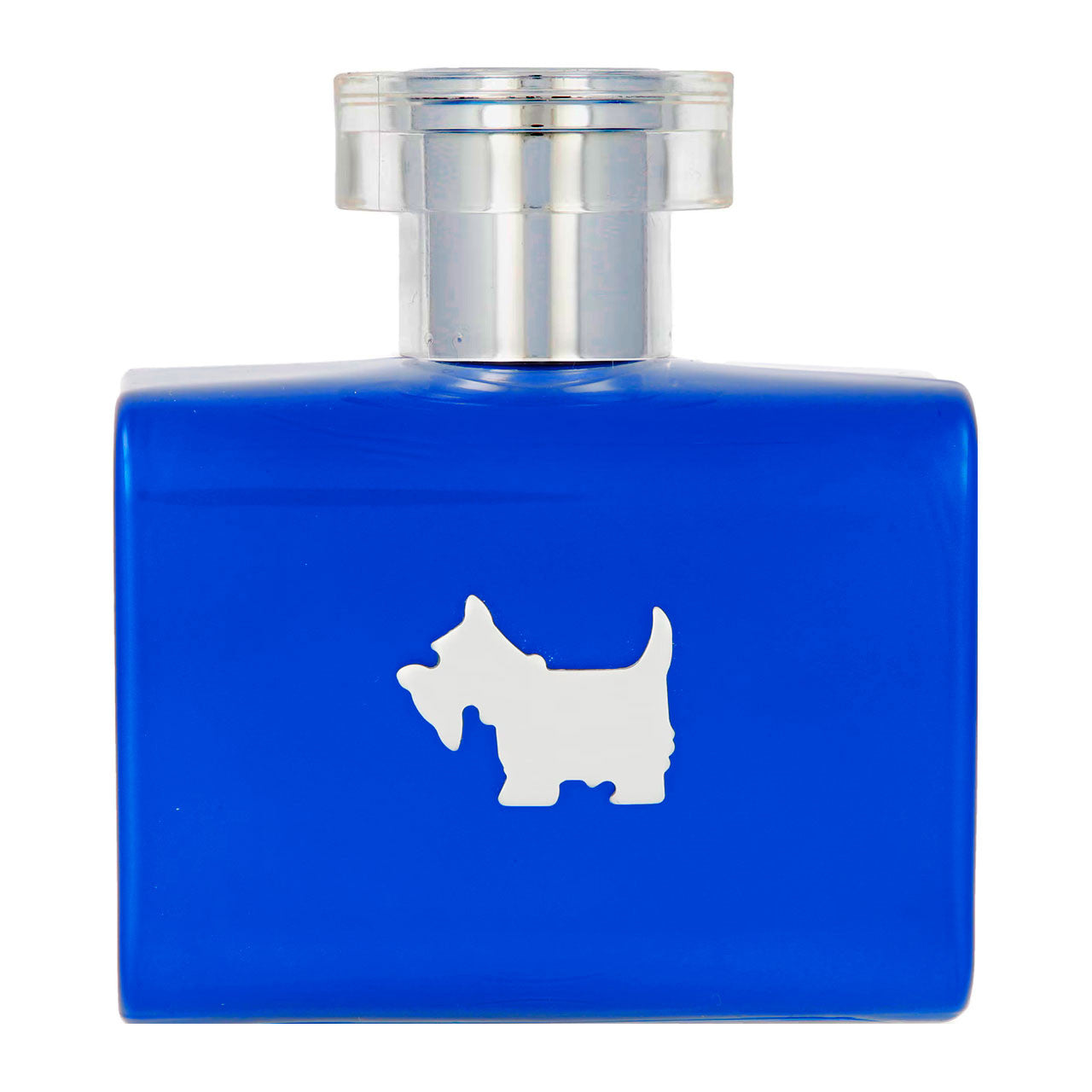 Ferrioni Terrier Blue EDT 100ml Caballero